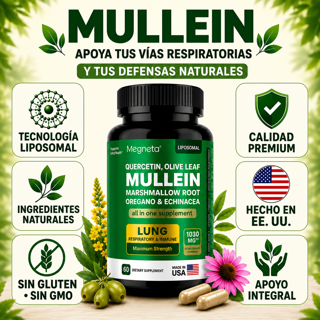Mullein – 2 frascos (120 cápsulas).