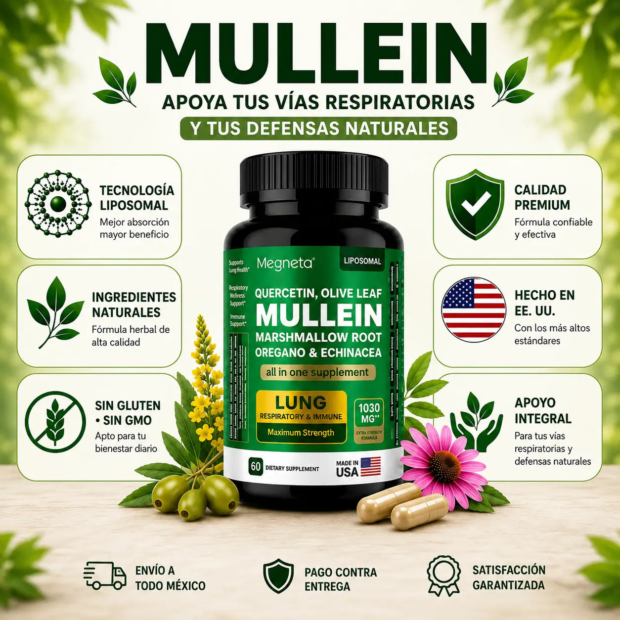 Mullein | Bienestar Respiratorio y Defensas